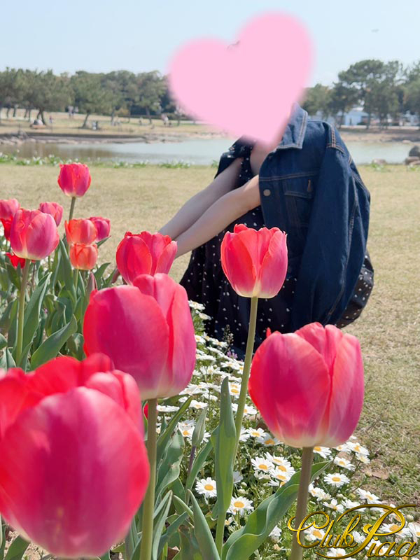 桜花(おうか)☆